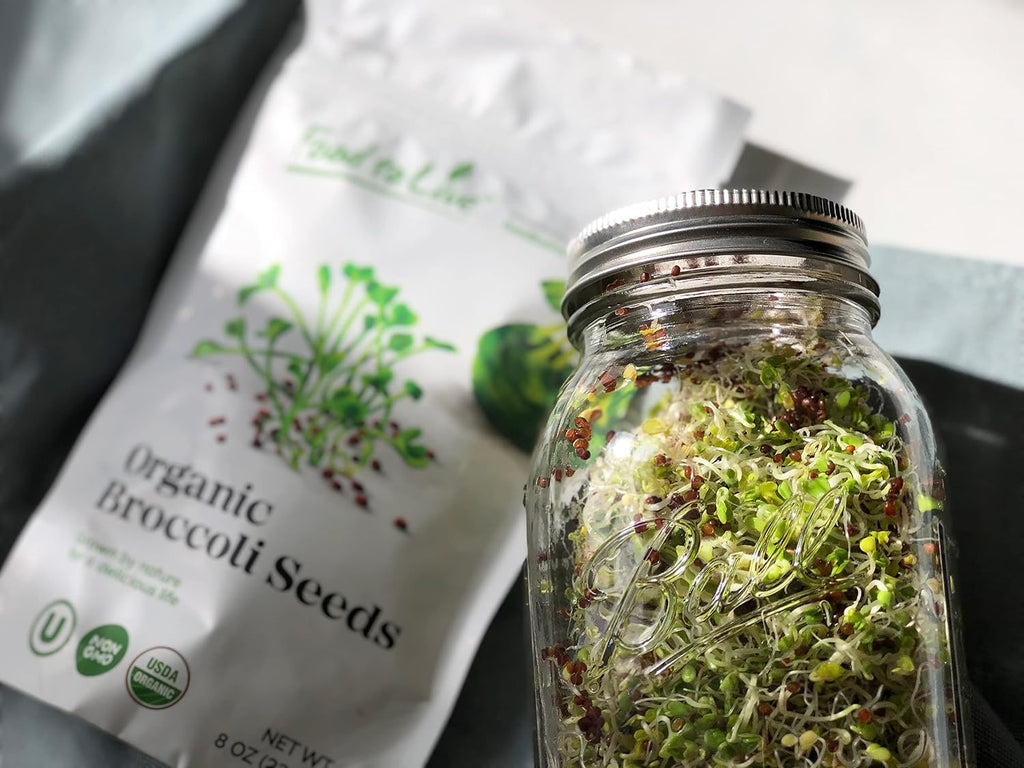 Food to Live Organic Broccoli Seeds for Sprouting, 4 Pounds – Non-GMO, Vegan, Kosher, Sirtfood, Bulk. Rich in Sulforaphane, Vitamin C. Grow Sprouts, Microgreens for Salads, and Sandwiches