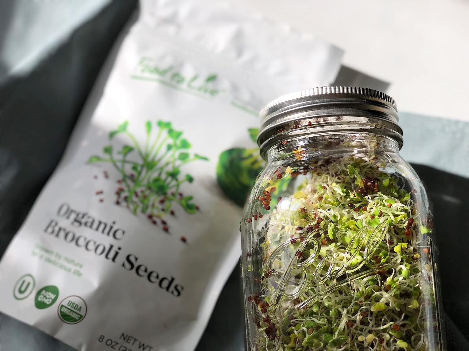 Food to Live Organic Broccoli Seeds for Sprouting, 4 Pounds – Non-GMO, Vegan, Kosher, Sirtfood, Bulk. Rich in Sulforaphane, Vitamin C. Grow Sprouts, Microgreens for Salads, and Sandwiches