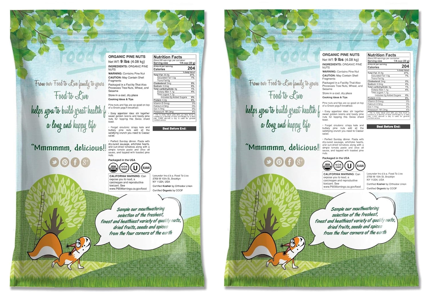 Food to Live Organic Pine Nuts, 18 Pounds – Non-GMO, Whole Raw Pignolias, Unsalted, No Shell, Vegan, Kosher, Bulk Snack. Rich in Vitamin E, Protein. Great for Pesto, Salads, Homemade Desserts